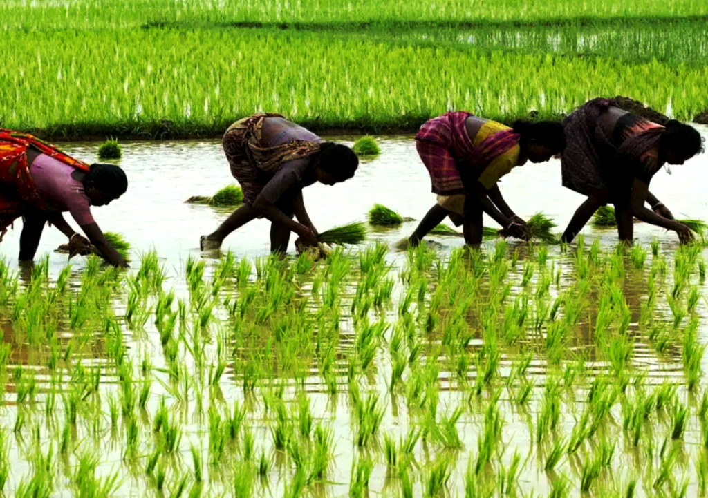 Rain Alert ఈవారం వర్షంగురించి కీలక సమాచారం