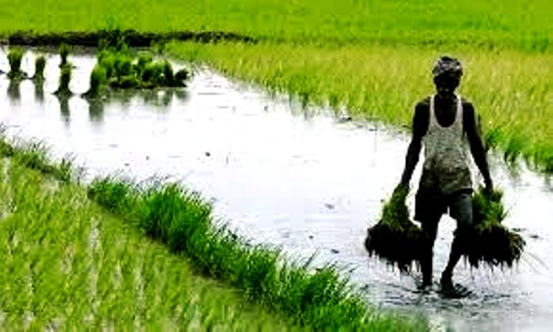 రైతులకు శుభవార్త Crop loan